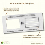 Génesquisse - Pochoir