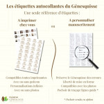 L'offre étiquettes Génesquisse