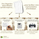Les possibilités d'utilisation des étiquettes du Génesquisse