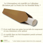 Conditionnement expédition Génesquisse