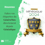 Généatique