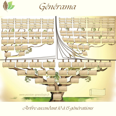 Generama : l'arbre ascendant 10 à 15 générations