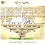 Generama : l'arbre ascendant 10 à 15 générations