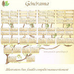 Générama : feuillet supérieur