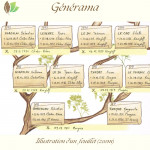 Générama : détail d'un feuillet supérieur