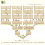 Générama : les extensions