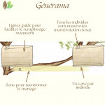 Générama: détail des cases