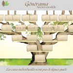 Générama ancien modèle zoom tronc