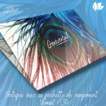 Etui du Généventail (pochette de protection)