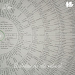 Généventail illustré (moitié maternelle)