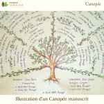 Canopée - zoom centre