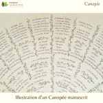 Canopée - zoom haut