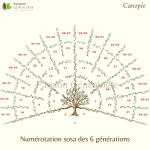 Canopée - Arbre décoratif de 6 générations