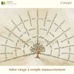 Canopée - modèle vierge