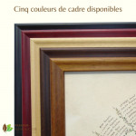 Encadrement Canopée - Assortiment disponible