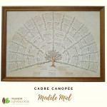 Encadrement Canopée - modèle "Miel"