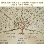 Illustration Canopée