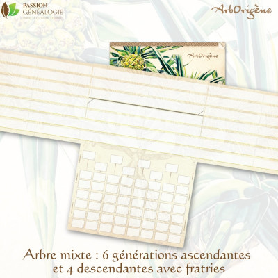 ArbOrigène avec couverture pelliculée pour une protection optimale de votre arbre