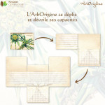 Dépliage de l'ArbOrigène