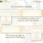 Paire d'Extensions de l'ArbOrigène