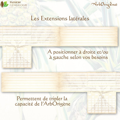 Extensions de l'ArbOrigène