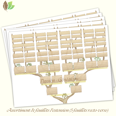 Assortiment d'extensions Générama (5 feuillets)